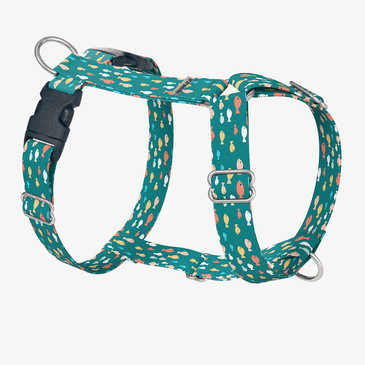 Classic Catch Dog Harness Classic Catch Dog Harness